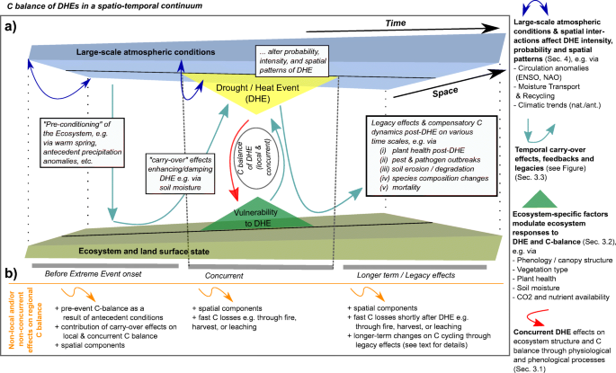 Drought, Heat, and the Carbon Cycle: a Review