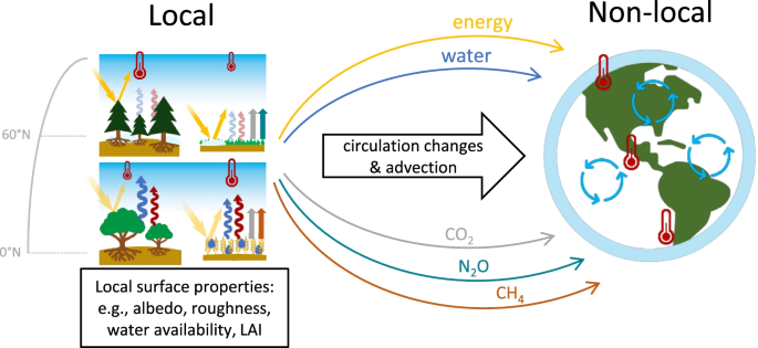 The effects of climate and forest cover variability on the