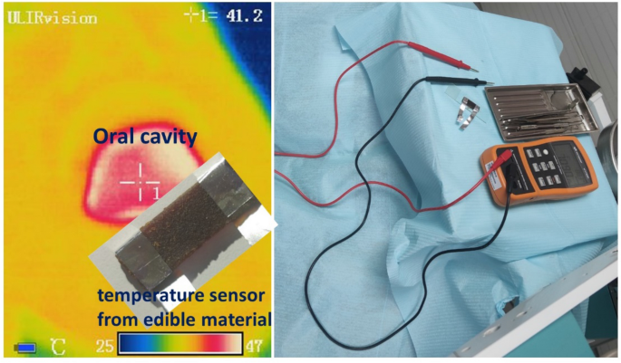 Temperature Sensors Manufactured from Edible Materials Intended for Oral  Cavity Operation