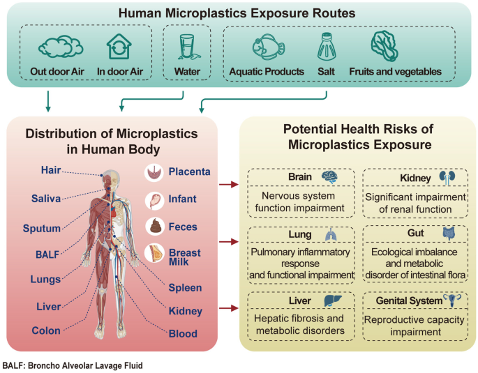 glutathione microplastics Human Exposure and Potential Health Risks to Target Organs by Different Routes: A Review | Current Pollution Reports injectable Ausreson L-glutathione Collagen Softgel Weight:50 g