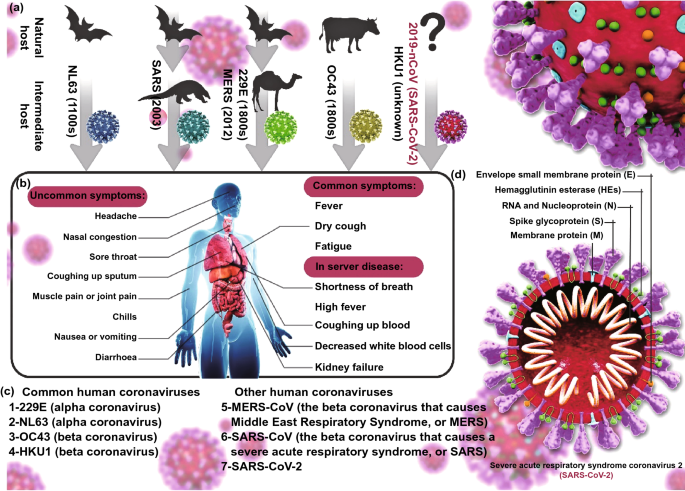 SARS-CoV-2 in humans