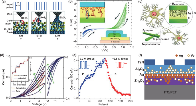 Field-Created Coordinate Cation Bridges Enable Conductance Modulation and  Artificial Synapse within Metal Nanoparticles