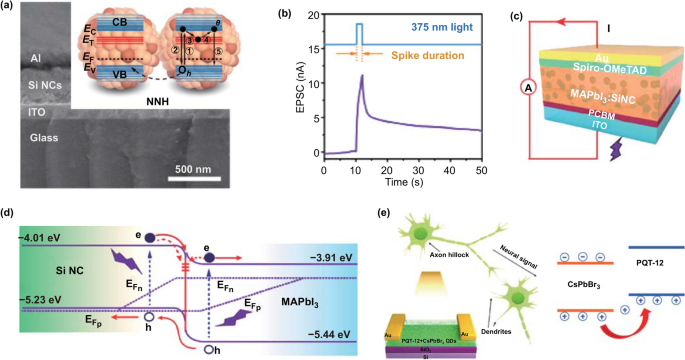 Frontiers  Synaptic Plasticity in Memristive Artificial Synapses