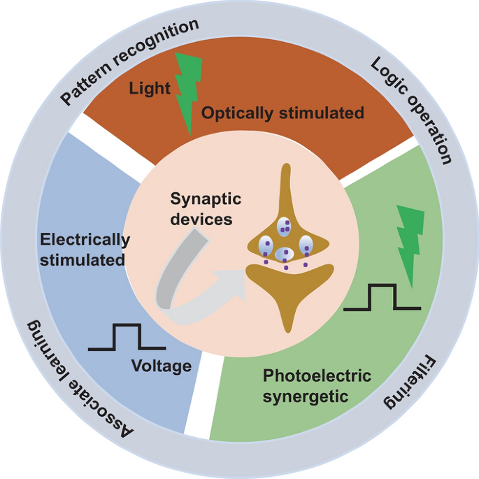 Human brain stimulated by artificial synaptic device