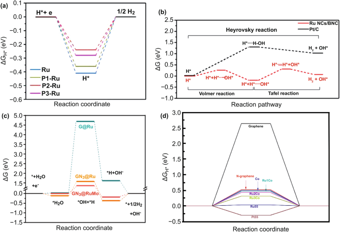 Revealing the role of interfacial water and key intermediates at ruthenium  surfaces in the alkaline hydrogen evolution reaction