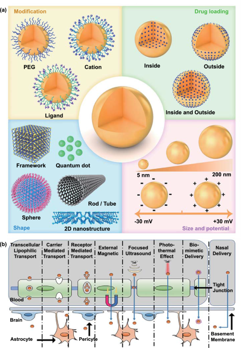 Bioinspired Theranostic Coordination Polymer Nanoparticles for Intranasal  Dopamine Replacement in Parkinson's Disease