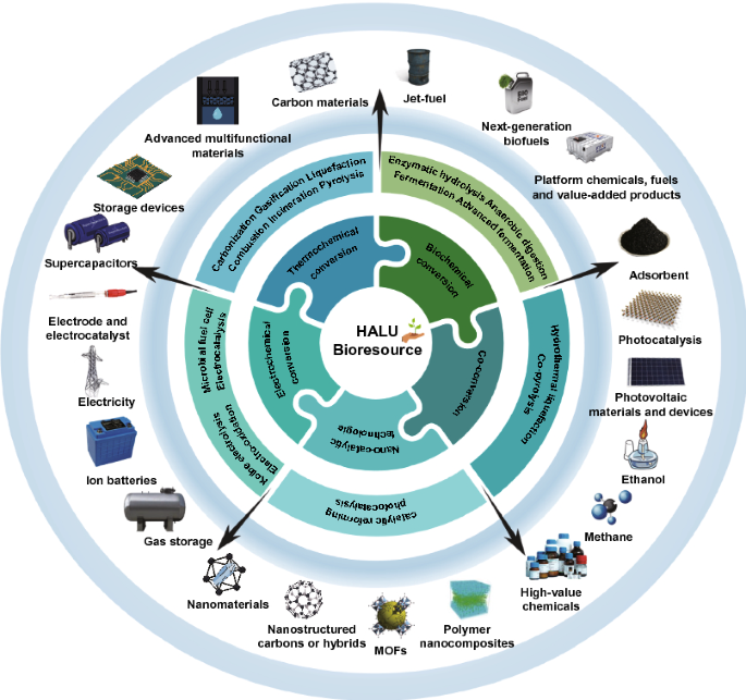 CO2 Laser Direct-Write Process for Micro-Gradient-Patterned Carbon Composed  of Graphene-like and Disordered Carbon Forms for a Robust Anode-Free  Li–Metal Battery