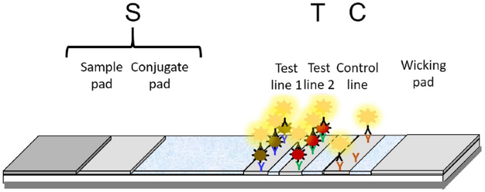 Tests For Carbohydrates | Types, Principles, Apparatus