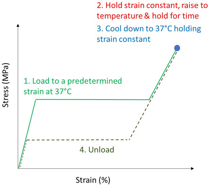 Effect of Prestrain on the Fatigue Life of Superelastic Nitinol