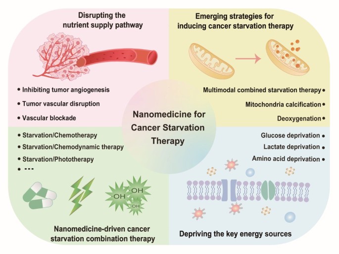 results of glutathione Progressive insights into nanomaterials for cancer starvation therapy |  Science China Materials