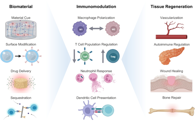 Harnessing Engineered Immune Cells and Bacteria as Drug Carriers