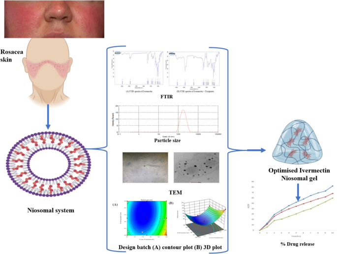 Formulation and Characterization of Niosomal CarrierBased Ivermectin Gel for Rosacea Therapy | Regenerative Engineering and Translational Medicine | Springer Nature Link Formulation and Characterization of Niosomal CarrierBased Ivermectin Gel for Rosacea Therapy | Regenerative Engineering and Translational Medicine | Springer Nature Link