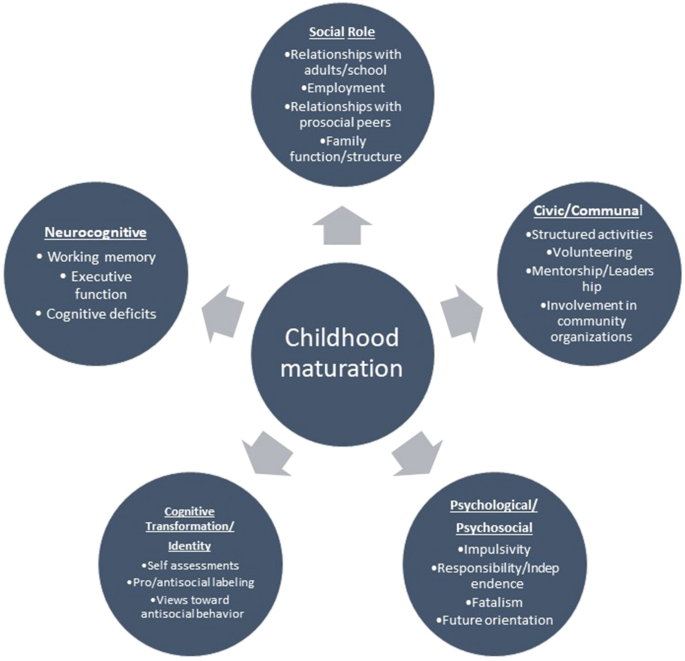 PDF) Biological maturation influences selection process in youth