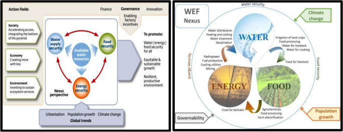 The water-energy-food nexus: What the Brazilian research has to