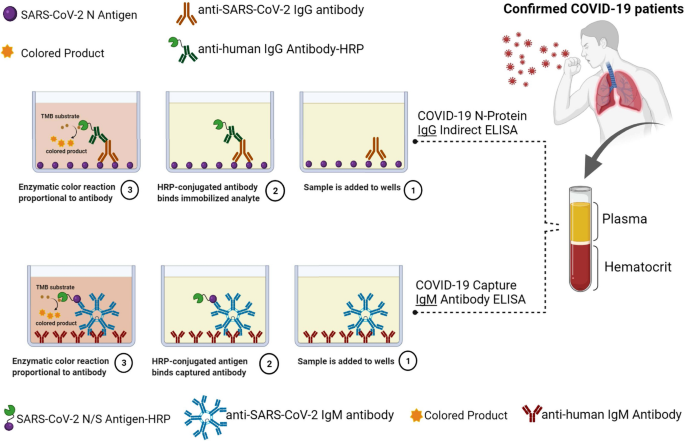 Express Covid Test Igm Igg Antibodies Novel Coronavirus Sars Cov Stock  Photo by ©anyaivanova@gmail.com 377790846