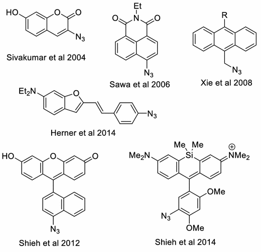 Strain-Promoted 1,3-Dipolar Cycloaddition of Cycloalkynes and