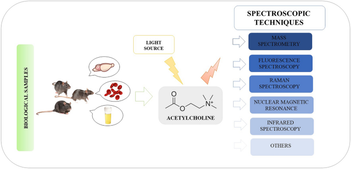 How can I measure brain acetylcholine levels in vivo? Advantages