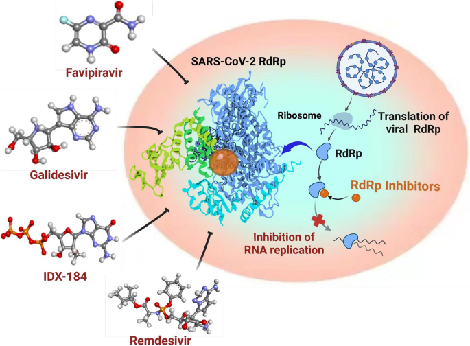 Structural basis of RNA cap modification by SARS-CoV-2