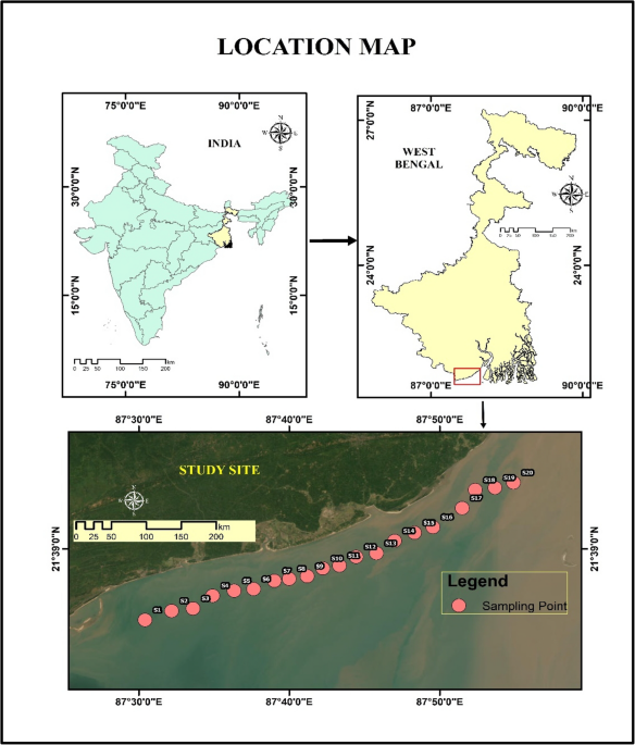 Seasonal Environmental Gradients Shape Phytoplankton Assemblages in the West Bengal Coastal Belt of the Northern Bay of Bengal, India - Thalassas: An International Journal of Marine Sciences