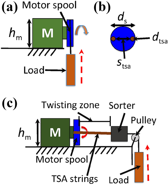 Overtwisting and Coiling Highly Enhance Strain Generation of Twisted String  Actuators