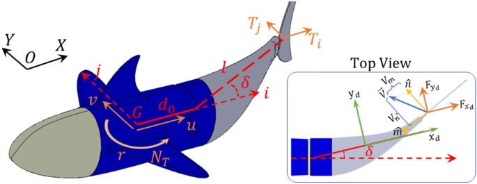 Performance enhancement of futuristic airplanes by nature inspired  biomimetic fish scale arrays—A design approach - ScienceDirect