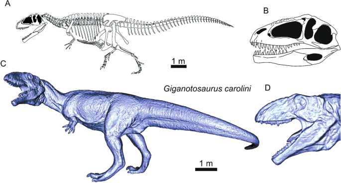 Between these Gigantosaurus models across all media, which of
