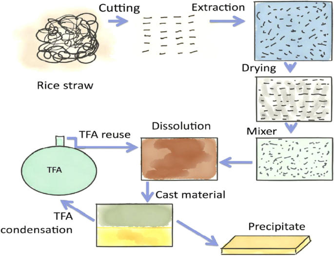 The utility of starch-based plastics - Green Dot Bioplastics