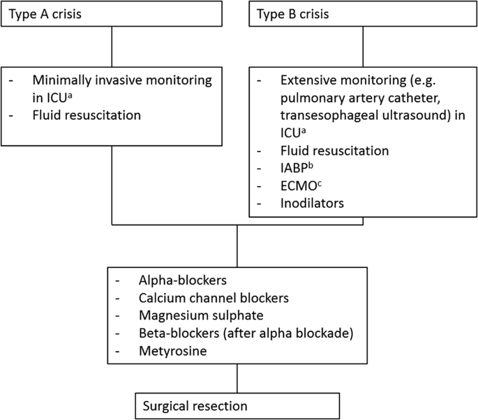 View of Surgical and Pharmacological Management of Functioning  Pheochromocytoma and Paraganglioma