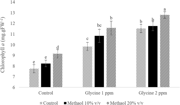 Evaluation of Glycine Betaine and Methanol on Maize (Zea mays L.) to Mitigate Delayed Seeding Stress as a Subsequent Crop of Rice - International Journal of Plant Production