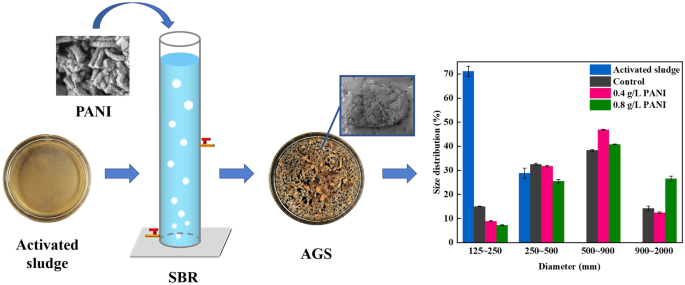 Table 2.2 from ENHANCED AEROBIC SLUDGE GRANULATION IN CYCLIC