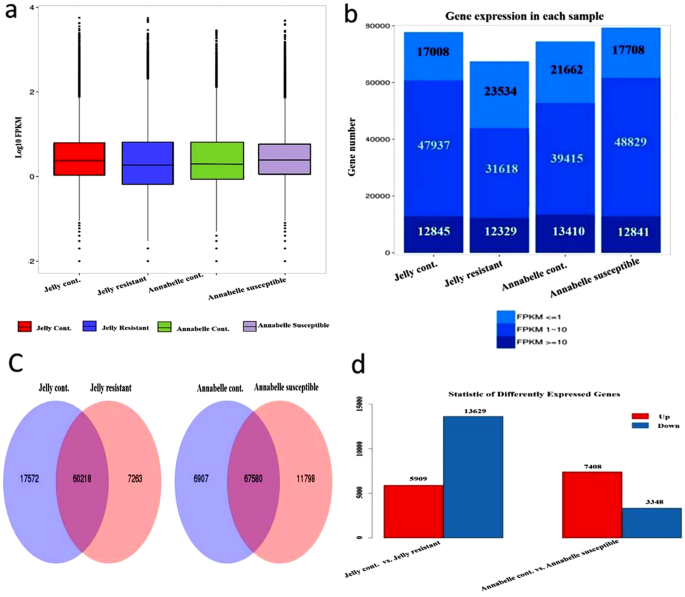 De novo assembly-based transcriptome analysis of resistant and susceptible potato varieties to Phytophthora  infestans