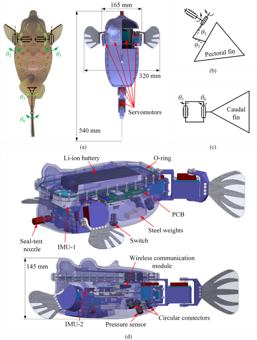 Analysis of Heading Stability due to Interactions between Pectoral and Caudal Fins in Robotic Boxfish Locomotion | Journal of Bionic Engineering | Springer Nature Link Analysis of Heading Stability due to Interactions between Pectoral and Caudal Fins in Robotic Boxfish Locomotion | Journal of Bionic Engineering | Springer Nature Link