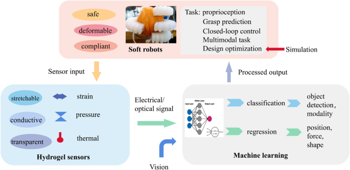 A system for designing and training intelligent soft robots