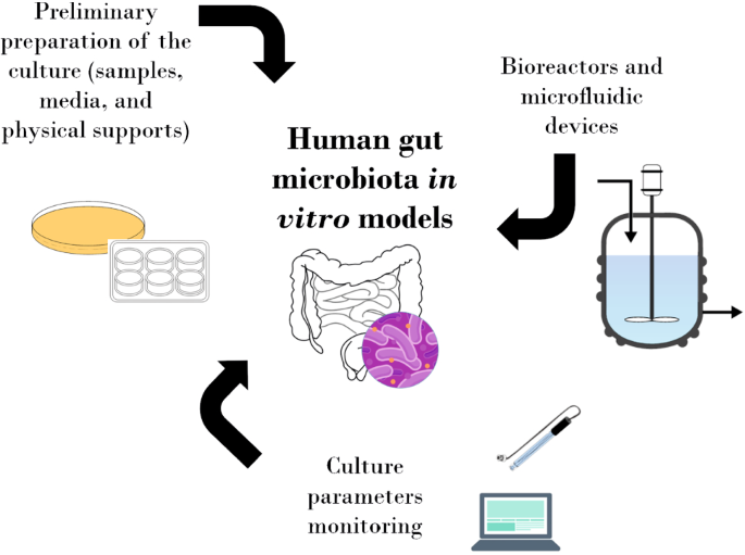 Microbiology - Culture Medium : - Nutrients prepared for microbial growth  Inoculum: - Suspension of microorganisms Inoculation: - Introduction of  microbes into culture medium Culture : - Microbes growing in/on culture  medium