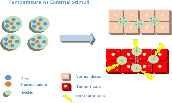 Nanofiber-Based Systems for Stimuli-Responsive and Dual Drug