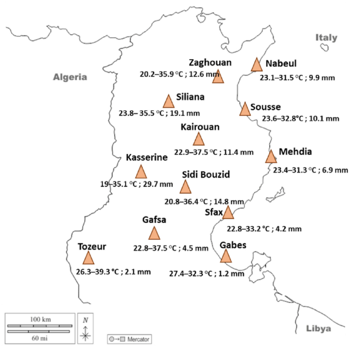 Comparative Study of the Fatty Acids and Tocopherol Profiles