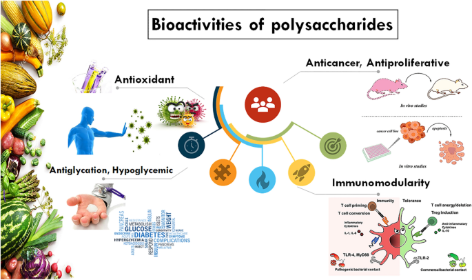 Dietary Polysaccharides