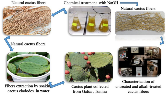 Analysis of Water Absorption of Different Natural Fibers