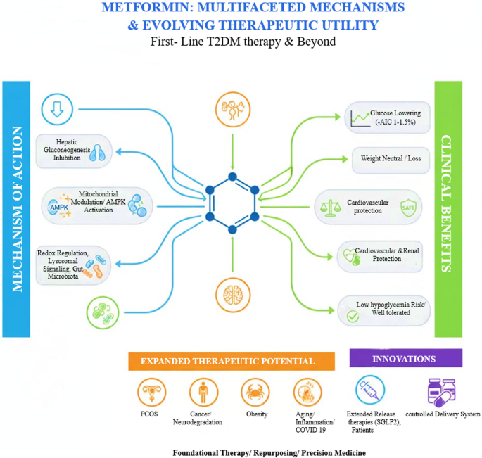 The Multifaceted Role of Metformin in Type 2 Diabetes: Mechanisms, Clinical  Evidence, and Future Directions | SN Comprehensive Clinical Medicine |  Springer Nature Link