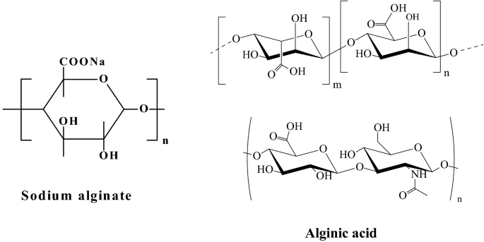Alginate and alginate composites for biomedical applications