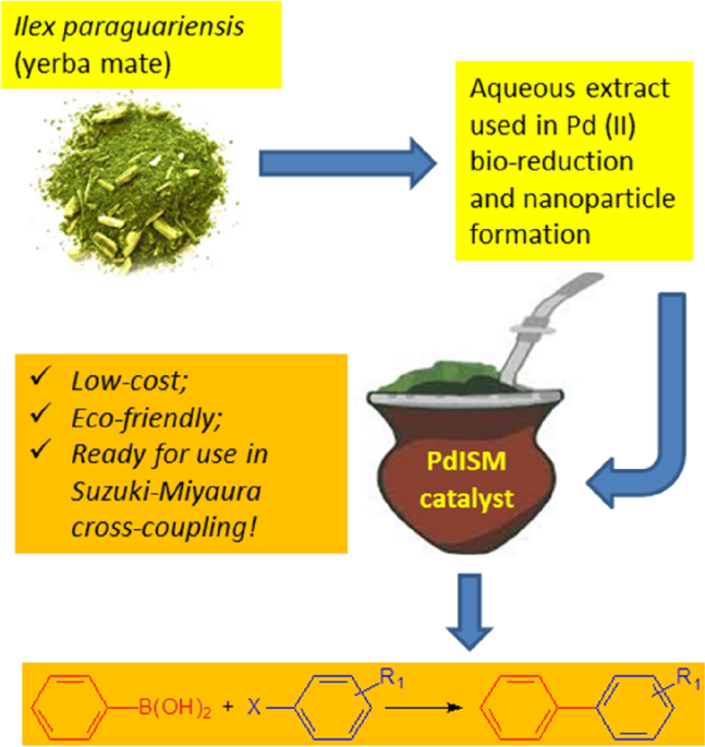 Palladium nanoparticle biosynthesis via Yerba Mate (Ilex paraguariensis)  extract: an efficient eco-friendly catalyst for Suzuki–Miyaura reactions |  Discover Applied Sciences