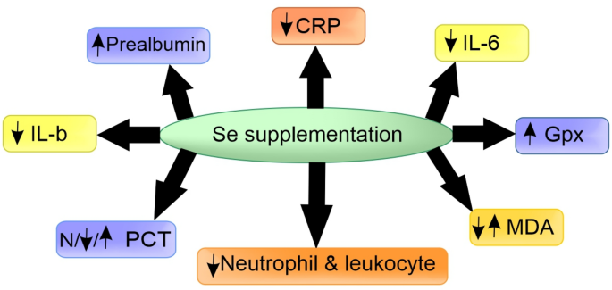 The effects of selenium supplementation on inflammatory markers in critically ill patients | Discover Applied Sciences