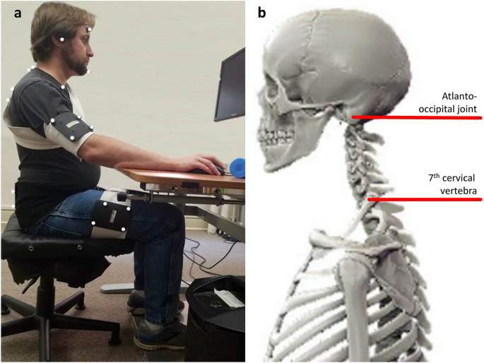 Does neck flexion improve performance? Effects on reaction time