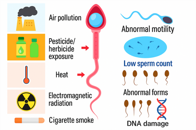 does cigarettes lower sperm count Can Smoking Reduce Your Count? The Impact of Smoking on
