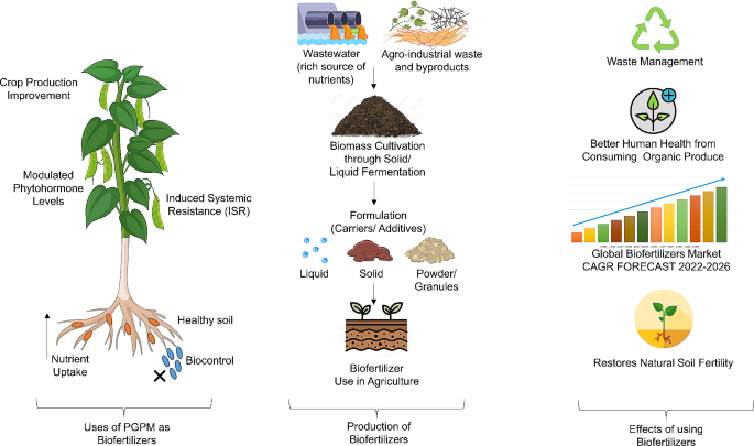 Recent Advancements in Fermentation Strategies for Mass Production and  Formulation of Biofertilizers: Towards Waste Valorization | Journal of Soil  Science and Plant Nutrition | Springer Nature Link