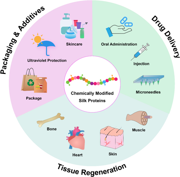 Chemical Modification of Silk Proteins: Current Status and Future Prospects | Advanced Fiber Materials