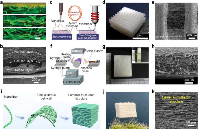 Electrospun Fibrous Sponges: Principle, Fabrication, and Applications |  Advanced Fiber Materials