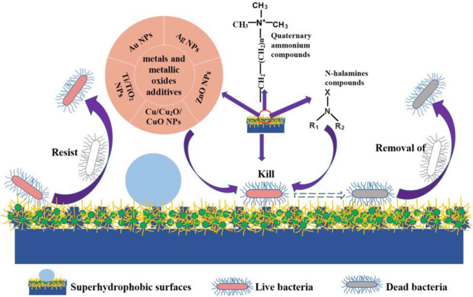 Recent Advances in Superhydrophobic and Antibacterial Cellulose