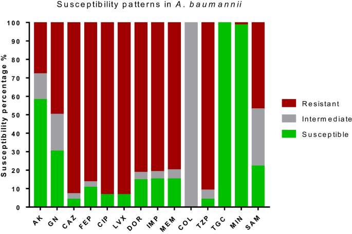 Inside-out, antimicrobial resistance mediated by efflux pumps in clinical strains of Acinetobacter baumannii isolated from burn wound infections