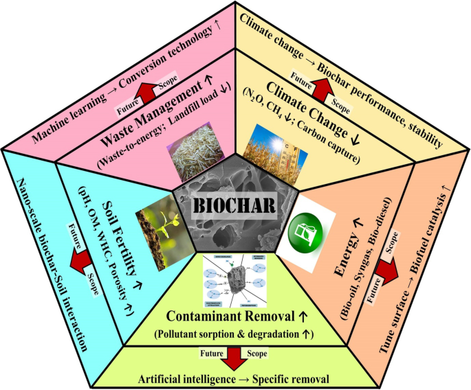 Biochar mitigates bioavailability and environmental risks of